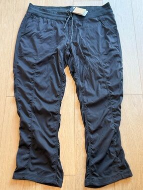 The North Face Aphrodite 2.0 Pants Asphalt Grey NWT 3X Plus Size XXXL Travel